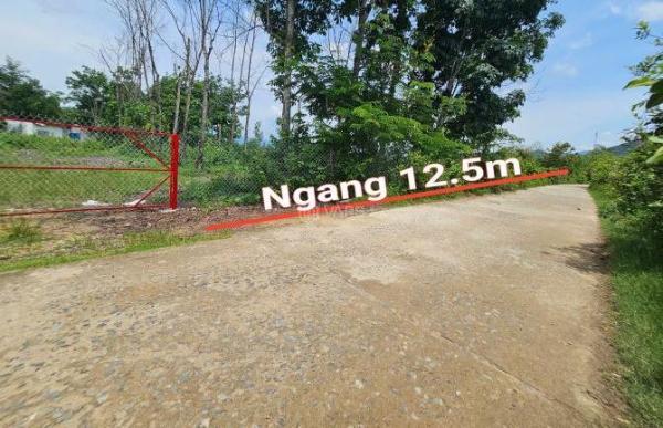 Bán đất Khánh 🏡 Đông giá rẻ có thổ cư gần trường tiểu học
