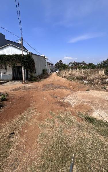 Cho thuê 5 sào (5.000m2) phường Tân Lợi. Hẻm 128 🏦 Đồng Khởi