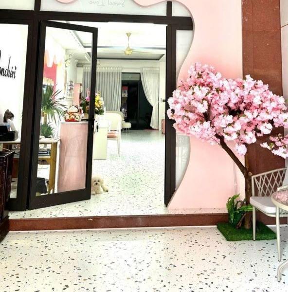 Bán Biệt thự nghỉ dưỡng 120m²