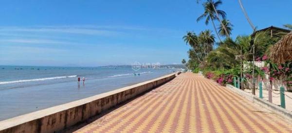 Chủ cần bán Đất nền riêng lẻ 241m²