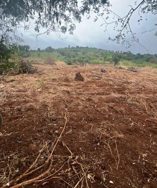 Chủ cần bán Khác 51000m²