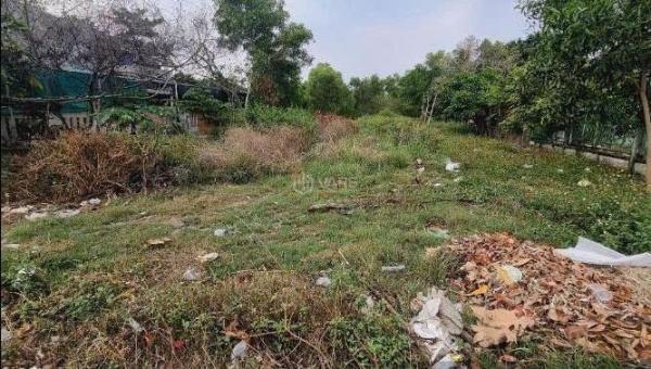 Bán Đất 👍 Mặt Tiền đường 28B, Chợ Gạo, Tiền Giang