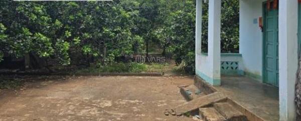BÁN NHÀ TẶNG VƯỜN CÂY 🏢 ĂN TRÁI SIÊU ĐẸP GẦN LONG KHÁNH, PHỦ HỒNG