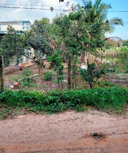 Bán Đất nền riêng lẻ 522m²