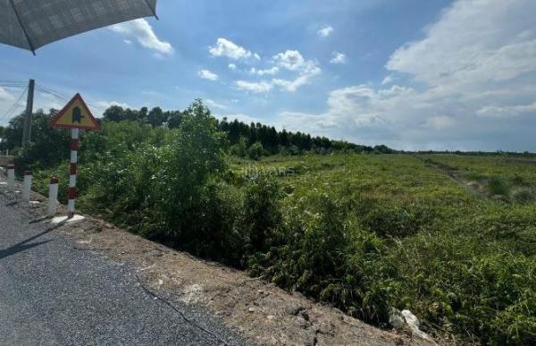 Cần bán Đất nền riêng lẻ 6000m²