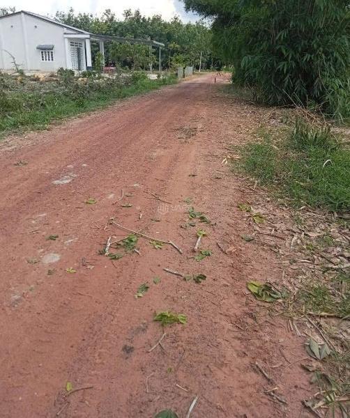 Chủ cần bán Đất nền riêng lẻ 1000m²