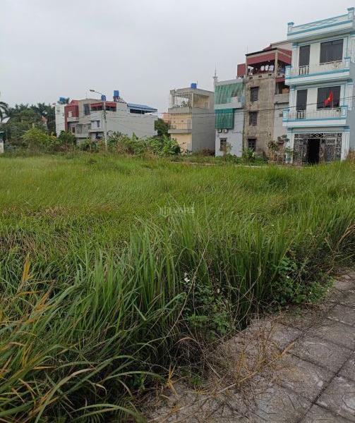 Bán Đất nền riêng lẻ 87m²