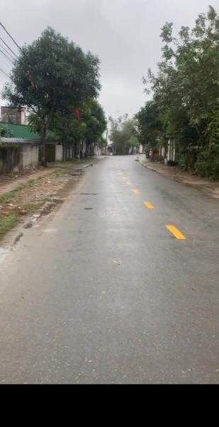 Hình ảnh 2