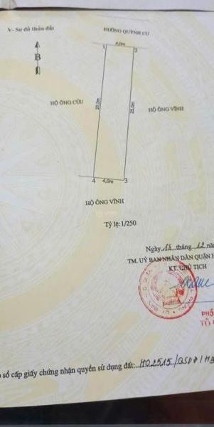 Hình ảnh 2
