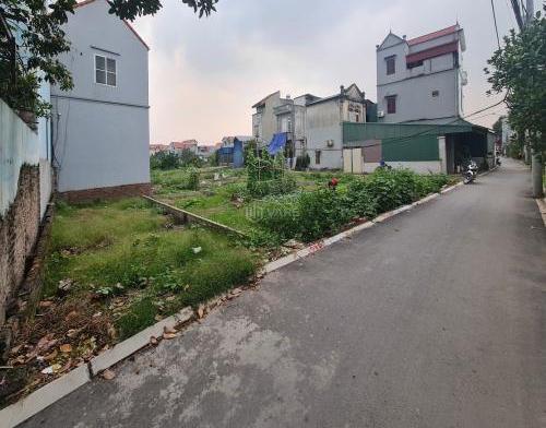 Hình ảnh 2