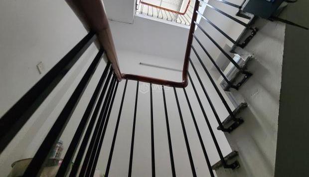 Hình ảnh 5
