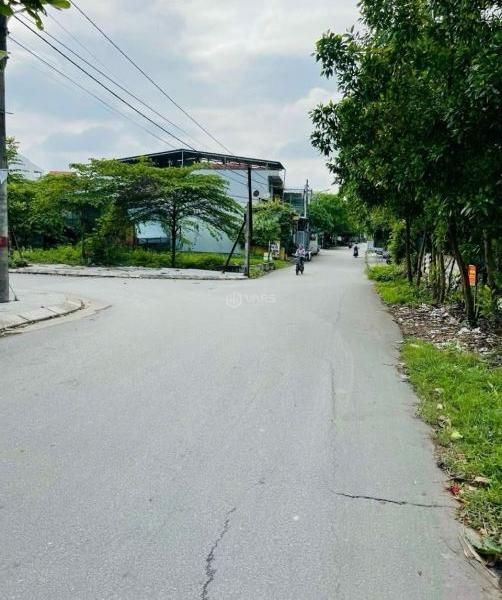 Hình ảnh 1