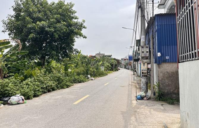 Hình ảnh 3