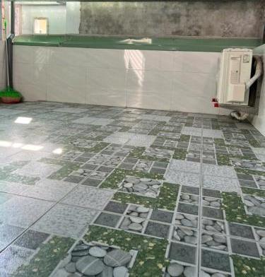 Hình ảnh 6