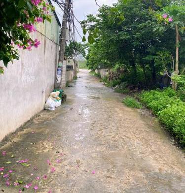 Hình ảnh 2