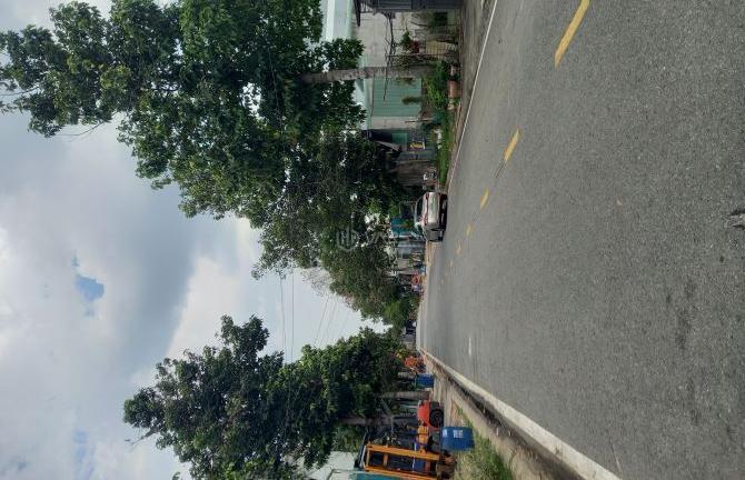 Hình ảnh 5