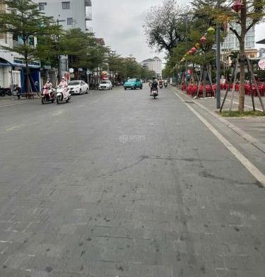 Hình ảnh 2