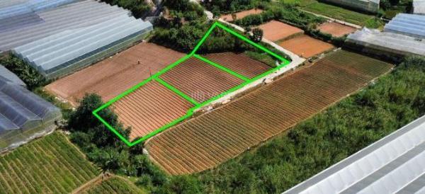 Bán Khác 636m²