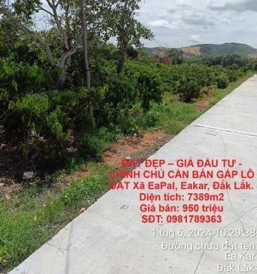 Chủ cần bán Khác 7389m²