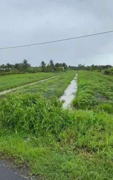 CHO THUÊ ĐẤT 22.000M2 MẶT TIỀN QUỐC LỘ 1a, MẶT ☘ TIỀN 110m, Hợp đồng 10 năm