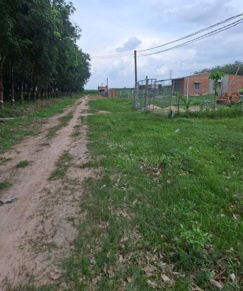 CHỈ VỚI 350 TRIỆU, SỞ HỮU ĐẤT RỘNG 1000M2,TẠI 🔥 TÂN HƯNG, TÂN CHÂU, TP. TÂY NINH