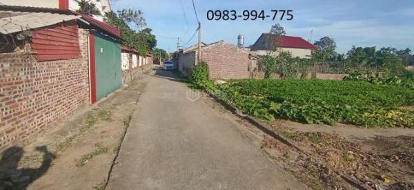 BÁN ĐẤT LƯƠNG TÀI, BẮC 🏡 NINH. 100M2 * MT 5M * 1,3 TỶ. VIEW HỒ THOÁNG MÁT.
