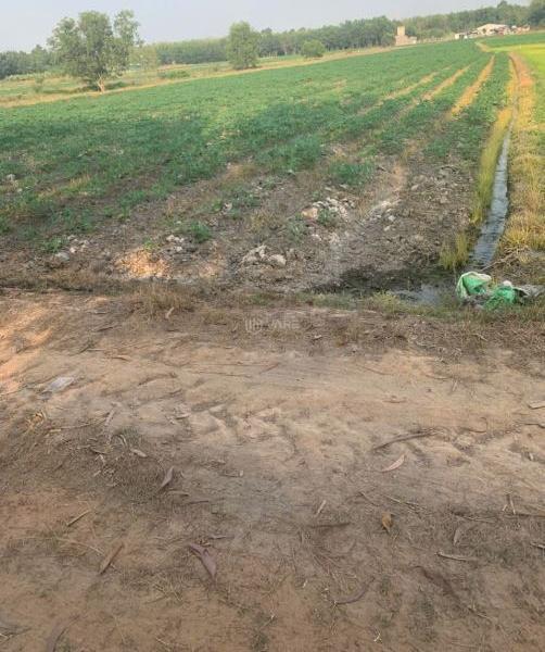 Chủ cần bán Khác 10000m²