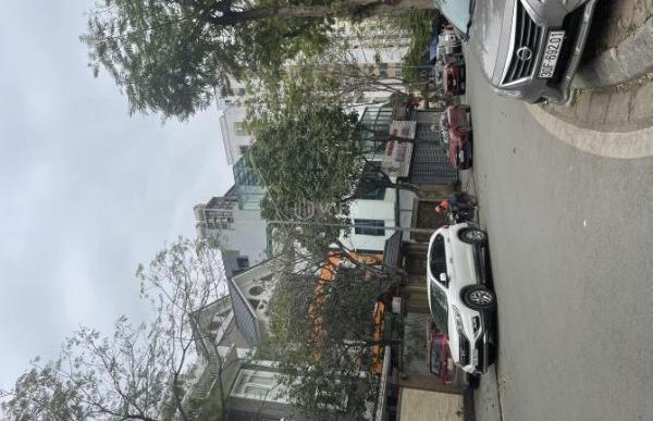 ✅CHO THUÊ 👍 BIỆT THỰ LINH ĐÀM, 350M2x 3,5 TẦNG, HOÀNG MAI, GIÁ RẺ 55 TR.