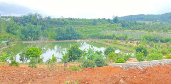 1 héc ta (10.000m2), mà giá chỉ 11 tỷ thuộc xã n thôn hạ, 🏦 đức trọng