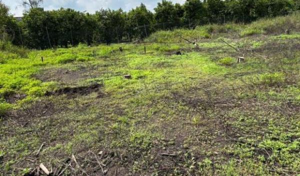 Cần bán Khác 5000m²