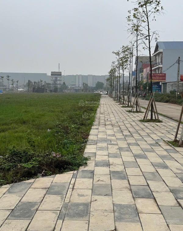 Cần bán Đất nền Dự án 119m²