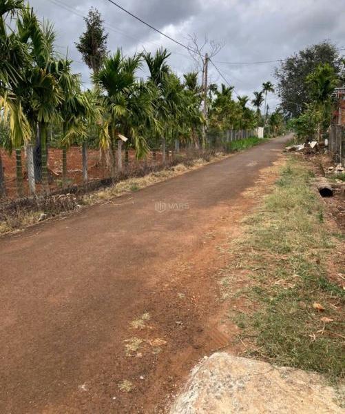 ĐẤT ĐẸP ĐƯỜNG NHỰA 6KC THÔN 1 ĐẠT LÝ - HOÀ THUẬN. TP BUÔN 🏠 MÊ THUỘT