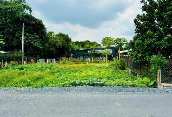 Bán Đất nền riêng lẻ 102m²