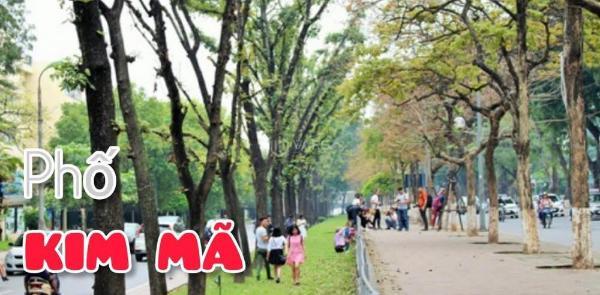 Chủ cần bán Đất nền riêng lẻ 92m²