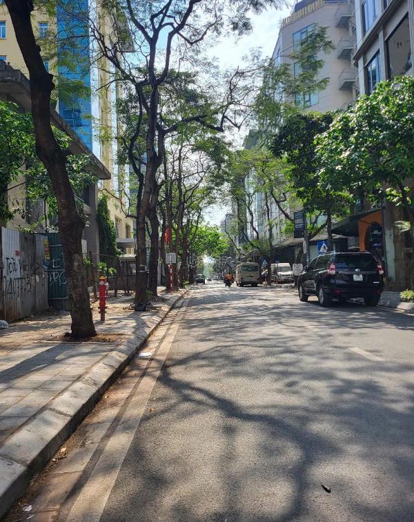Bán tòa vp phố trần thái tông, 🏚️ 200m2 lô góc hiếm đẹp, xây dựng mỹ mãn