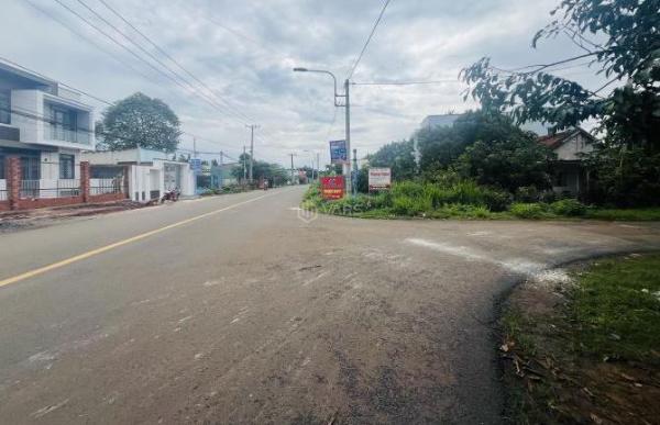 Đất Long Khánh, 👍 Đồng Nai, mặt tiền đường nhựa, kinh doanh tốt, trung tâm phường Xuân Lập