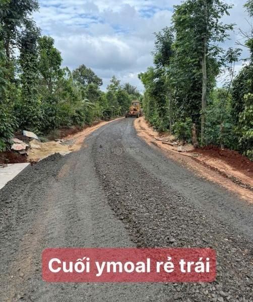 Cần bán Khác 3600m²