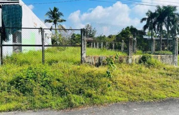 Bán nhanh lô đất 400m2 mặt tiền đường Phạm Thị Thàng, xã Phước 🆘 Hiệp, Củ Chi, shr