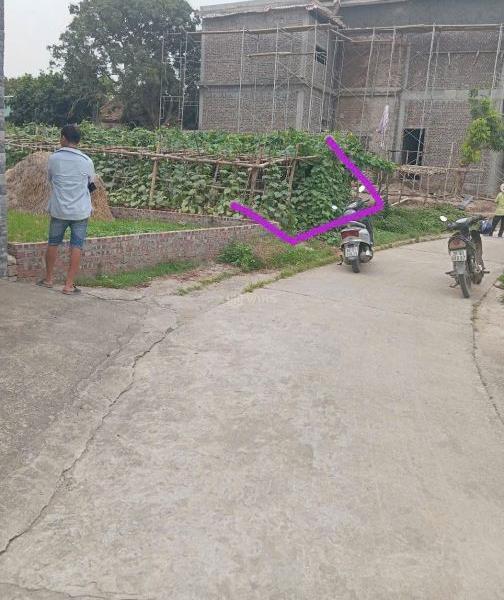 Bán Đất nền riêng lẻ 118m²