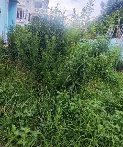 🔥2ty7 cần 🏣 bán lô đất vị trí đẹp cạnh KCN Đồng Văn 3 – Duy Tiên – Hà Nam