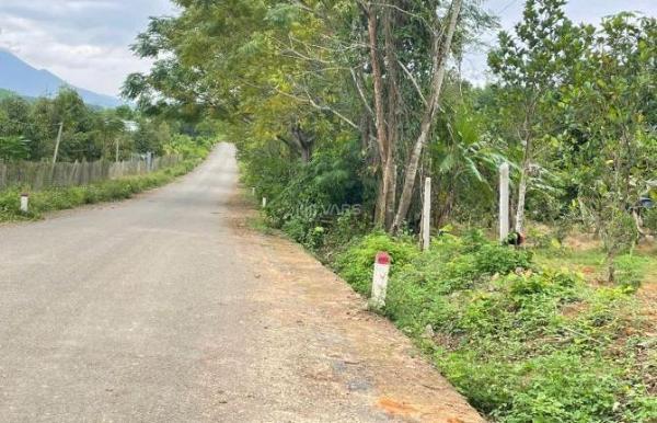 💥💥Mở bán 6 lô 🏡 vườn bưởi Tl 8C. Khánh hiệp giá chỉ 330tr/lô💥💥