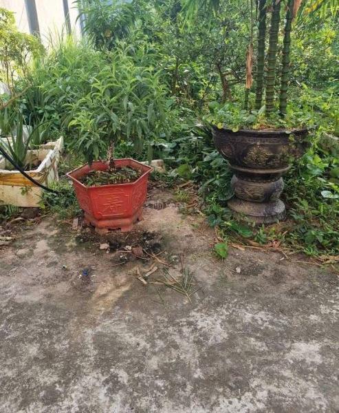 1ty5 Cần bán lô đất 110m2 gần 💥 phố đi bộ tại Hòa Mạc - Duy Tiên Hà Nam