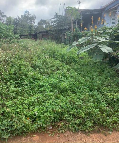 Chủ cần bán Đất nền riêng lẻ 100m²