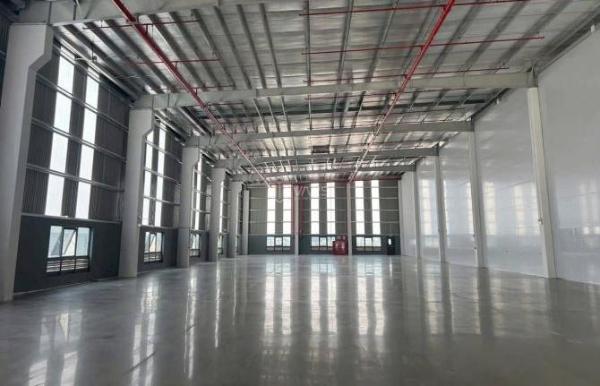 Cho thuê Nhà xưởng, nhà kho 5000m²