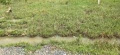 Bán Đất nền riêng lẻ 375m²