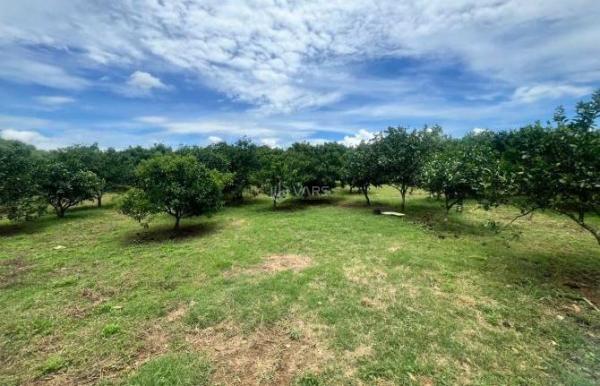 Bán Đất nền riêng lẻ 2633m²