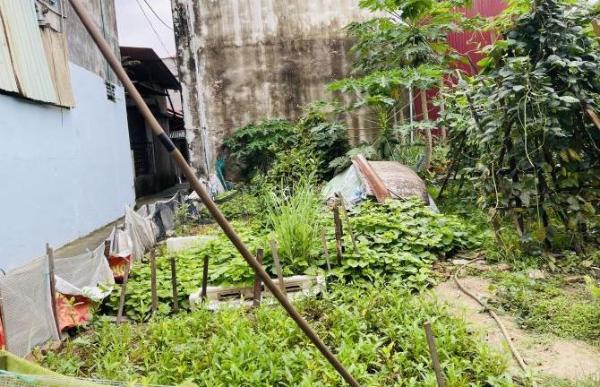 Cần bán Đất nền riêng lẻ 77m²