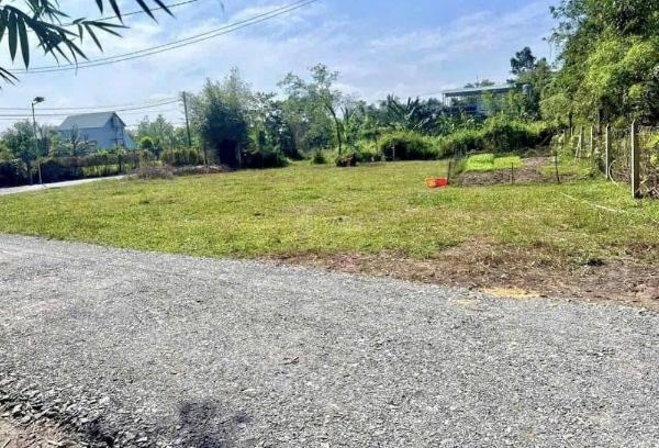 Bán Đất nền riêng lẻ 2100m²