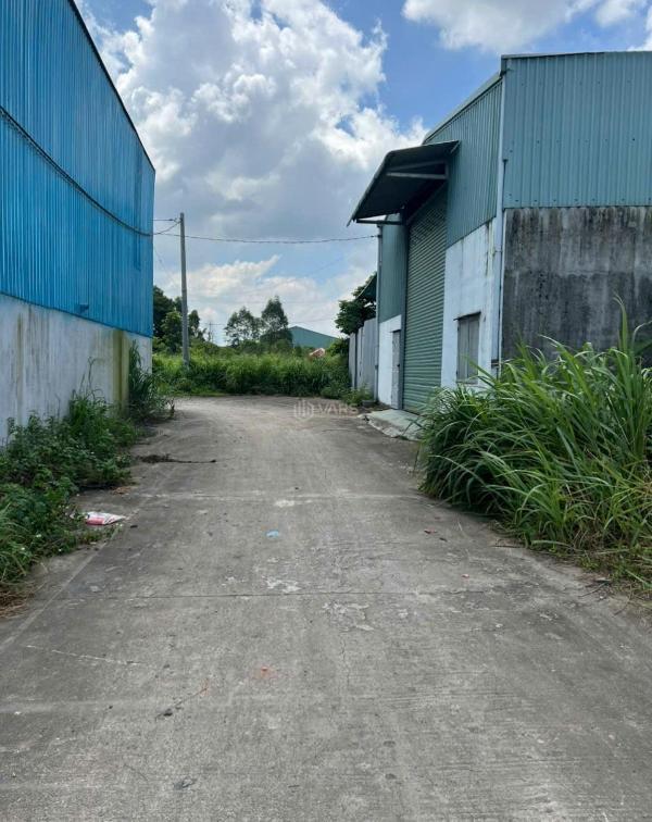Bán lô đất rộng 228m² sổ riêng full thổ cư gần chợ thiện tân - 🔥 vĩnh cửu, đồng na
