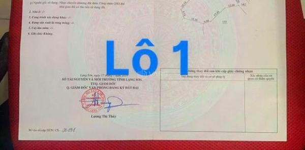 Chủ cần bán Đất nền riêng lẻ 19369m²